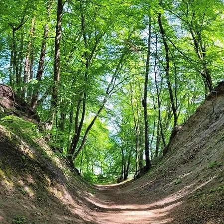 Przy Plazy W Redlowie * Gdynia