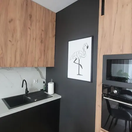 Przy Plazy W Redlowie Apartment *