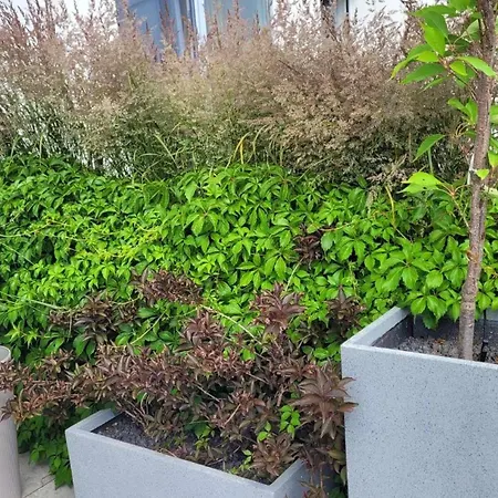 Przy Plazy W Redlowie