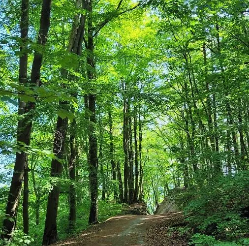 Przy Plazy W Redlowie Apartamento Gdynia