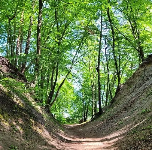 Przy Plazy W Redlowie * Gdynia