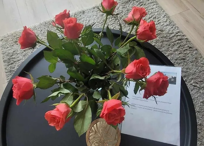 Przy Plazy W Redlowie Gdynia