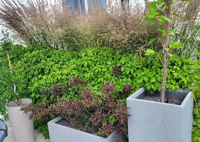 Przy Plazy W Redlowie